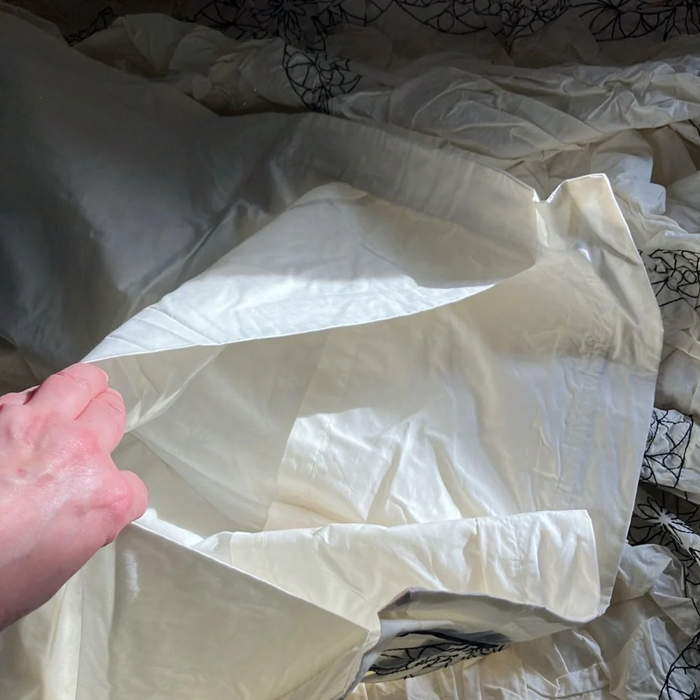 Anthro Puffed Cream w. Black Embroidery Cotton King Size Duvet w. 2 Euro Shams